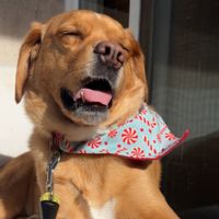 Caroline Smith profile picture