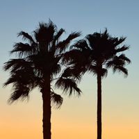 Christina Dobi profile picture