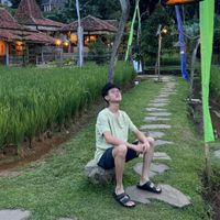 Michael Setiawan profile picture