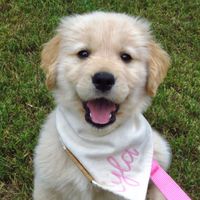 Lyla profile picture