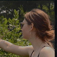 Cait Race profile picture
