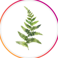 Fern & Fig Floral profile picture