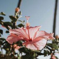 Sofie R profile picture
