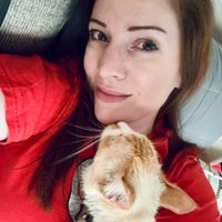 Liz profile picture
