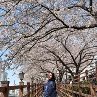 Adlyn profile picture