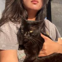 rere profile picture
