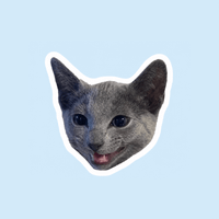 Bingsu & Summer profile picture