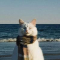 Rey profile picture