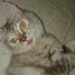Marin profile picture
