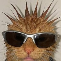 Jesse Savinen profile picture