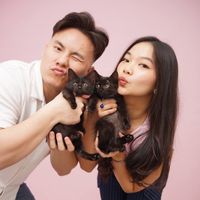 Smart Picks Daily profile picture