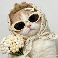 RatuVina profile picture