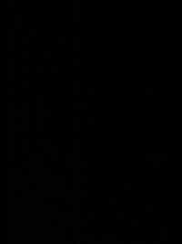 Stefan Tanaskovic profile picture