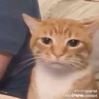 Freeza Dane profile picture