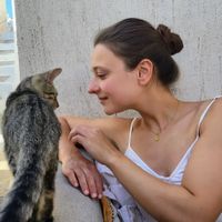Lauri Carpentier profile picture