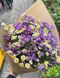 Purple Daisy profile picture