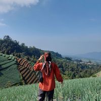Nila Safitri profile picture