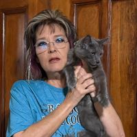 Kendra Welch profile picture