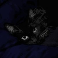 mieeeechann nn profile picture