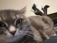 Nadia profile picture