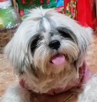 Bryte Buy profile picture