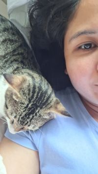 Gee profile picture