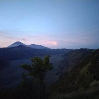 Suci profile picture