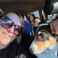 CJ profile picture