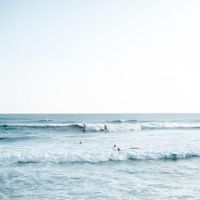 Ayla Collins profile picture