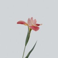 themedfinds profile picture