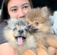 Nikka Joyce Sumagaysay profile picture