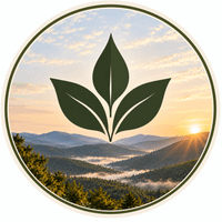 Heather at Root and Regimen profile picture