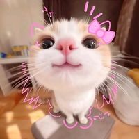 M profile picture