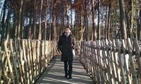 David Kurniawan Subagio profile picture