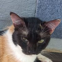 sandy profile picture