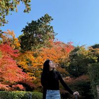 Althea profile picture