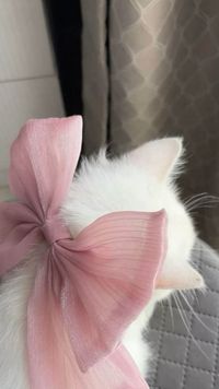 Eva M profile picture
