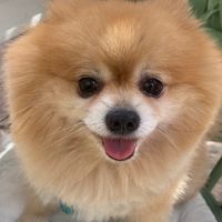 Ness profile picture