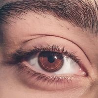Her Style Inspo | Women's Wear and Home Deals profile picture