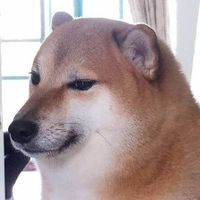 Katarina Mid profile picture