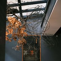 Vairyaatelier profile picture