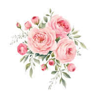 BlushIsSoPretty profile picture