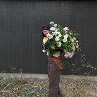 Finola McDonald profile picture