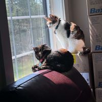 A W profile picture