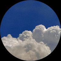 Céleste Lavenir profile picture