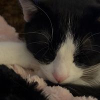 Skye profile picture