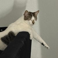 Cely profile picture