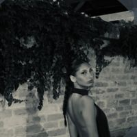 Stefanija Trkulja profile picture