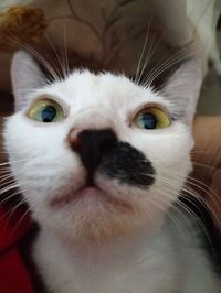 Lunar profile picture