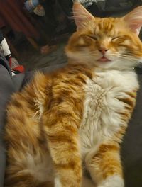 Bronwyn Adams profile picture
